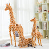 Giant size Giraffe Plush Toy